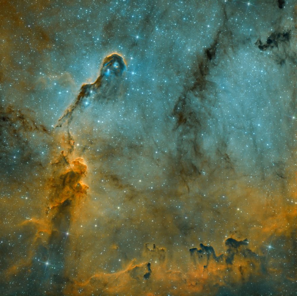 Photograph by ANDREI KOROTKOV