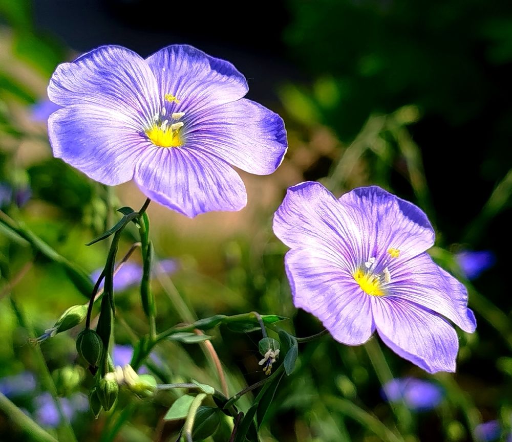 Photograph by Светлана Льдокова