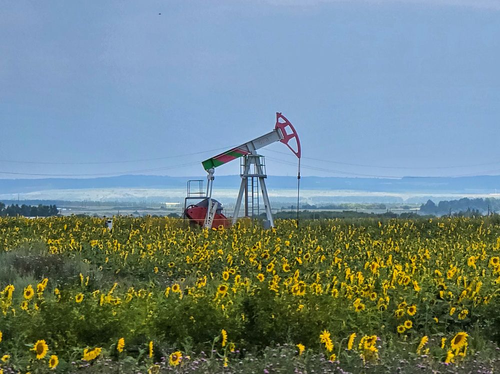 Photograph by Ирина Хлебникова