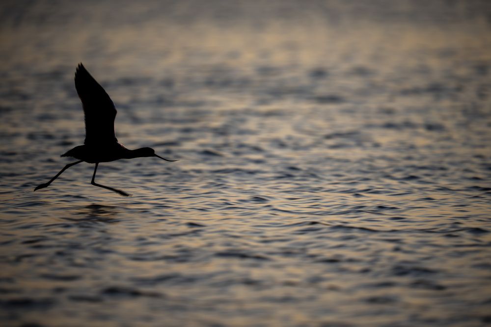 Photograph by Stefan Dragan