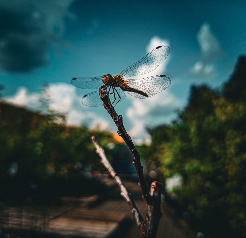 Photograph by Екатерина Никитина