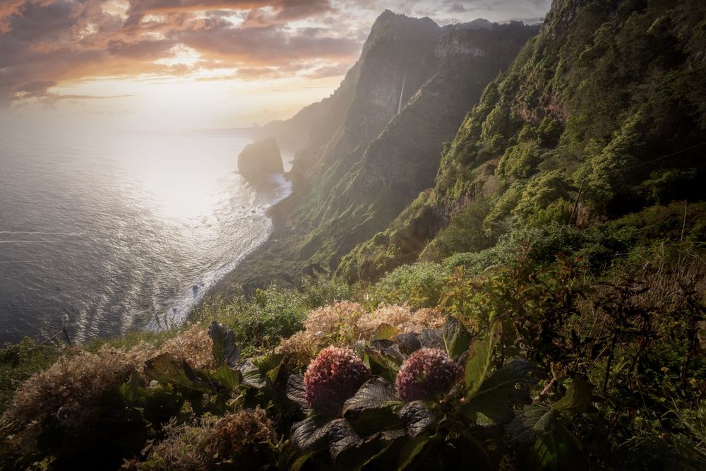 Photograph by Roman Bevzenko