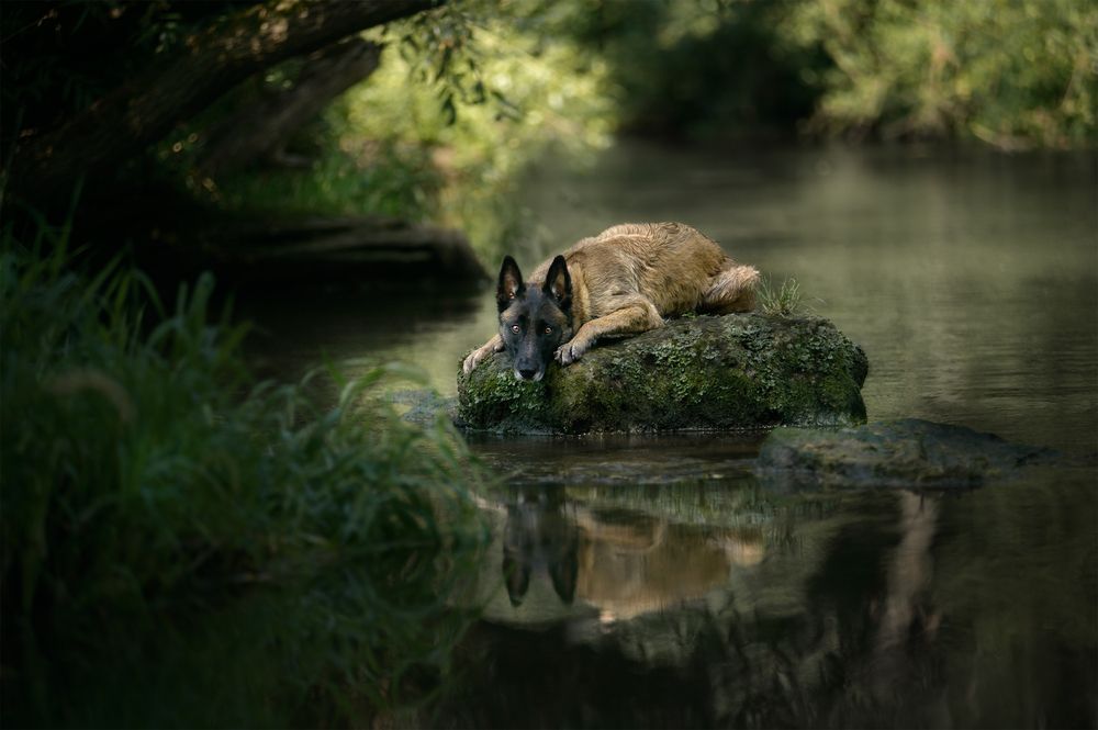 Photograph by Ольга Новикова