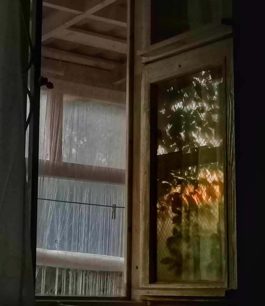 Photograph by Ирина Садовникова
