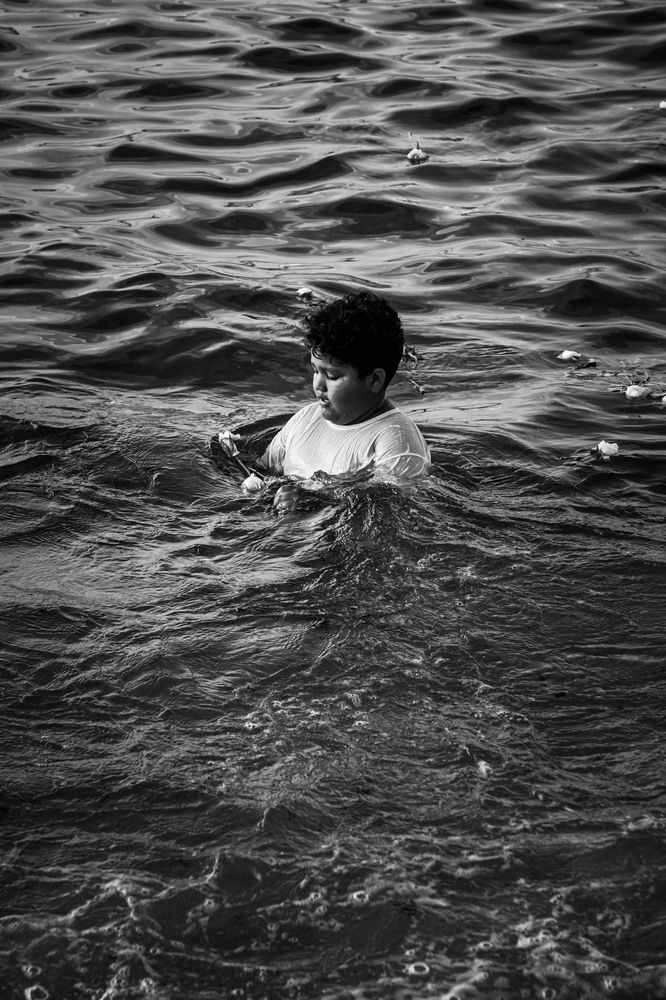 Фотография автора Marcelo Vaz