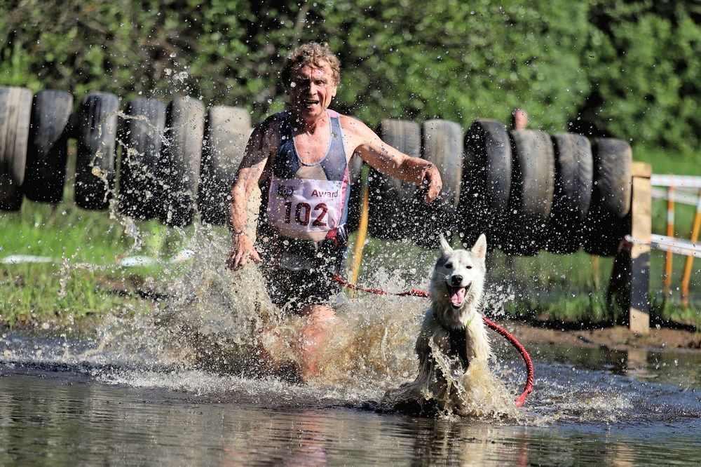 Фотография автора Елена Кириллова