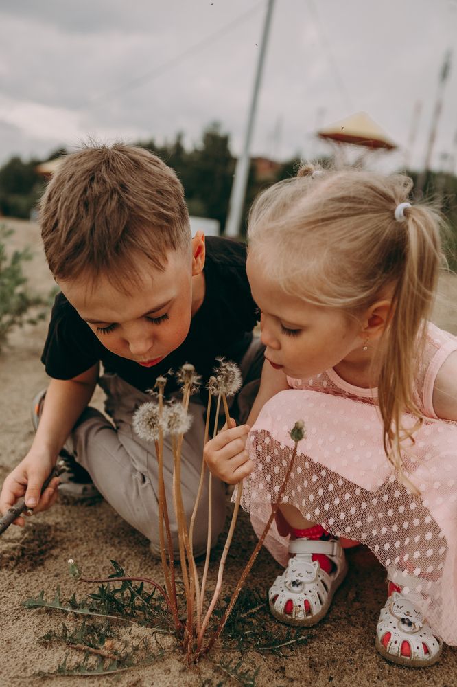 Photograph by Анна Орманжи