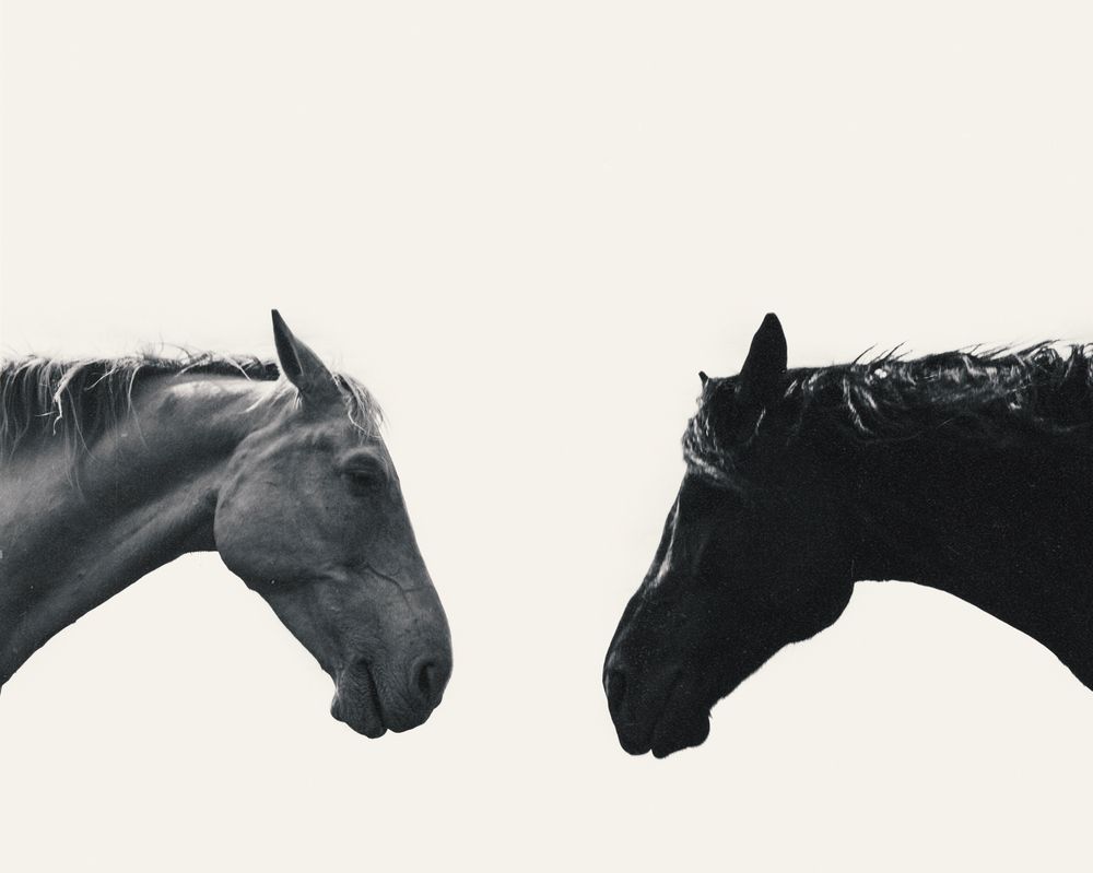 Photograph by Мурр Кристина