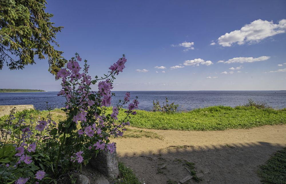 Photograph by Сергей Басов