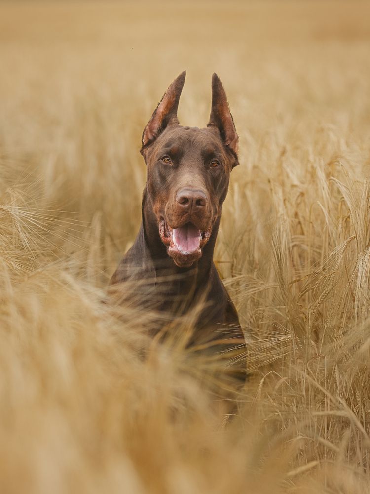 Photograph by Мария Клещенко