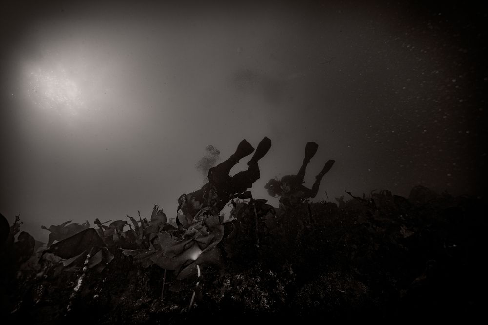 Photograph by Дмитрий Плотников