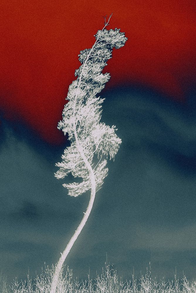 Photograph by Ольга Кушнарева