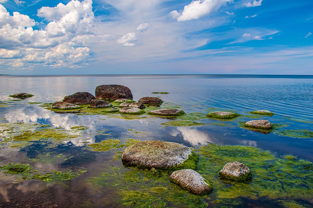 Photograph by Игорь Овсиенко