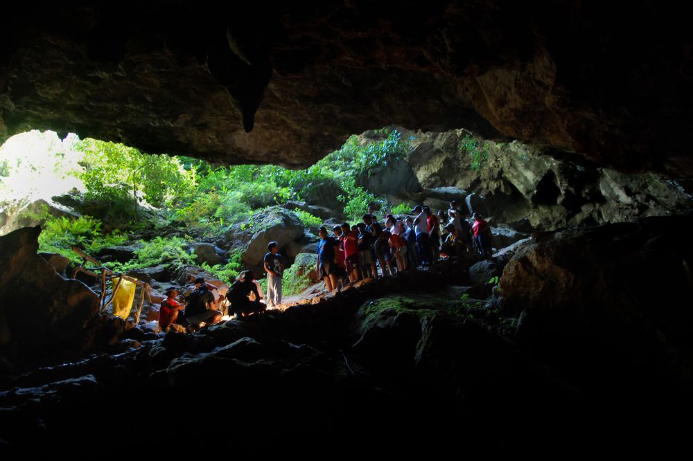 Nature Tour