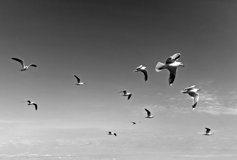 Photograph by Олег Лебедев
