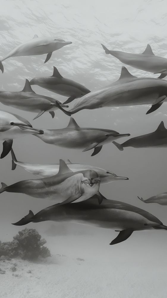 Photograph by Airat Mukhametov