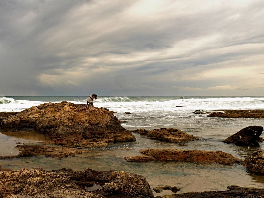 Photograph by Lev Tsenter