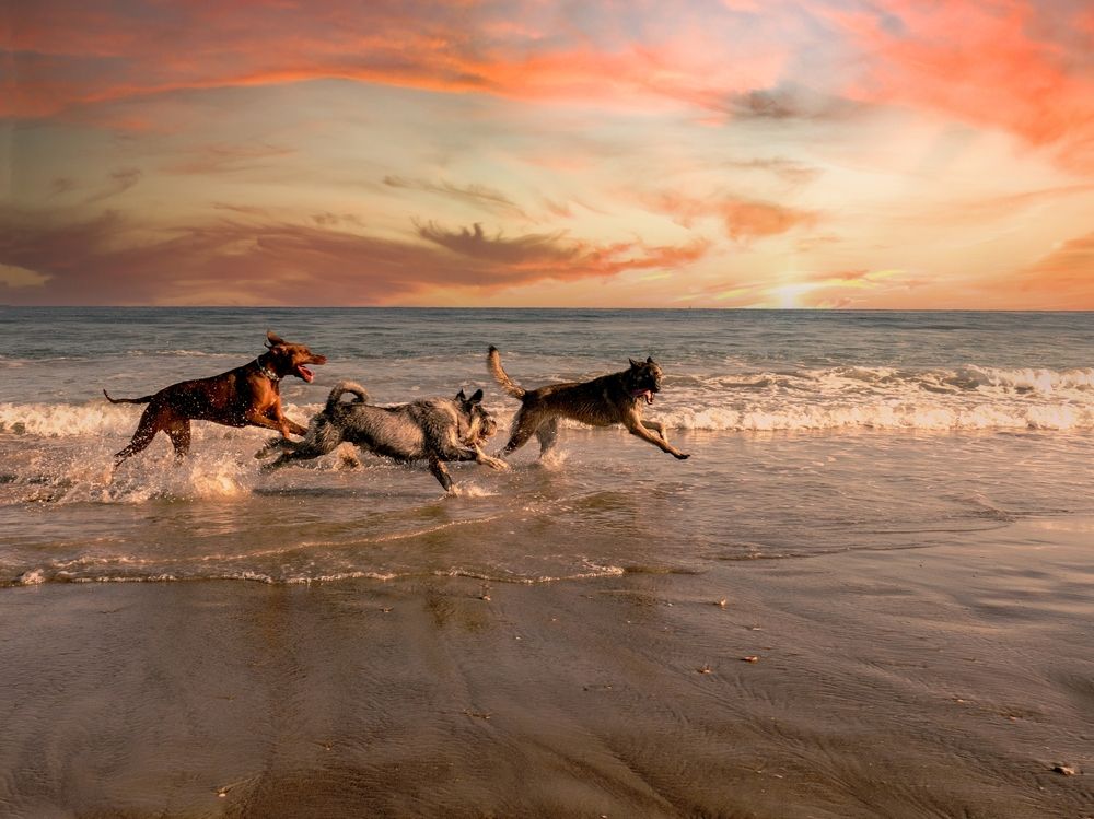 Photograph by Lev Tsenter