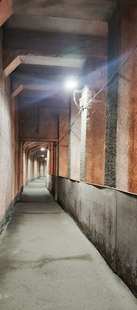 Фотография автора Ольга Петрова