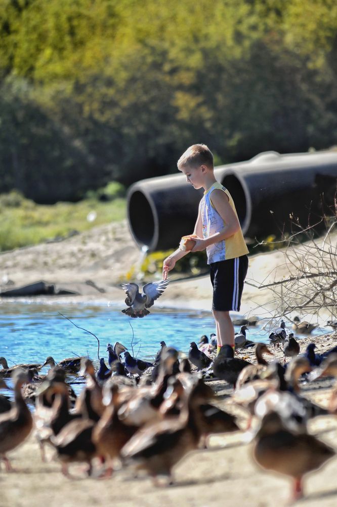 Photograph by Татьяна Бравая