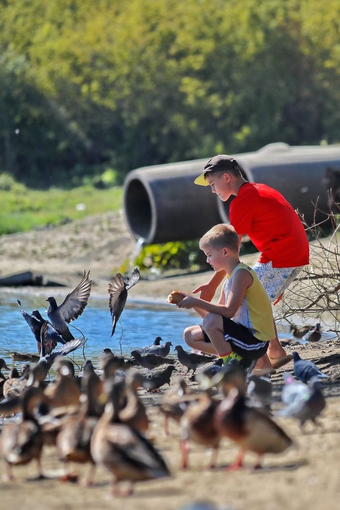 Photograph by Татьяна Бравая