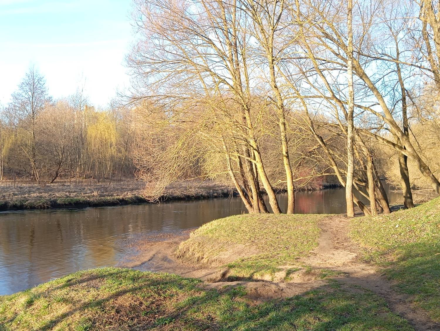 Photo #12416823