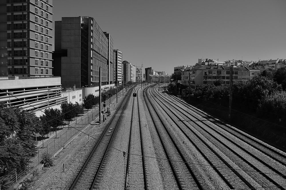 Photograph by João Patrício