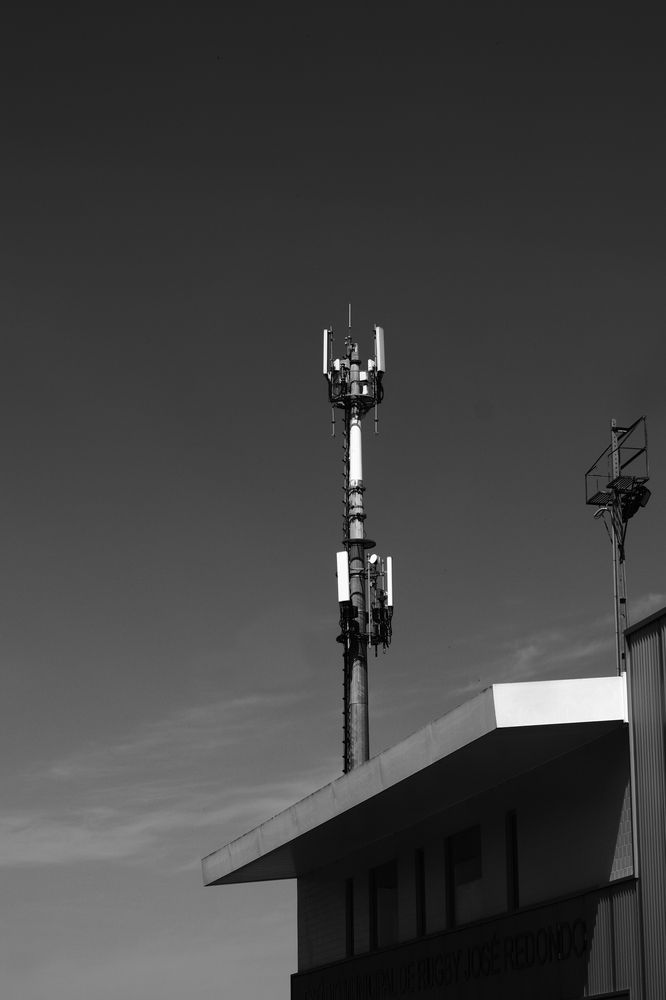 Photograph by João Patrício