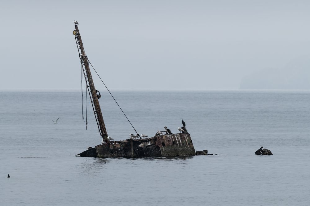 Photograph by Елена Вторушина