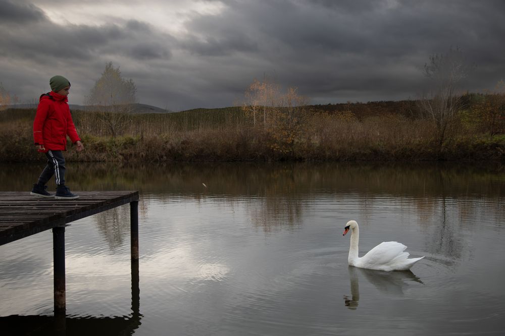 Спрошу у лебедя...