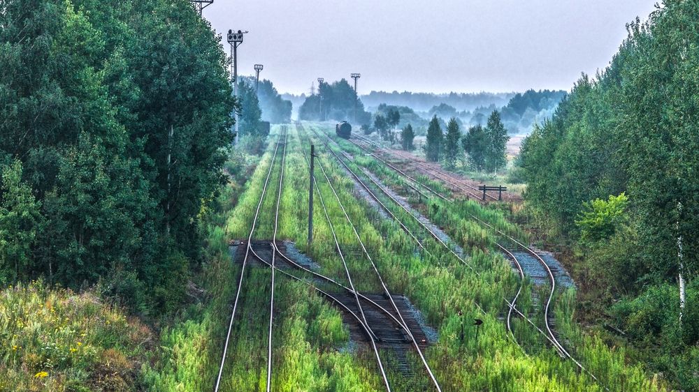 Photograph by Алексей