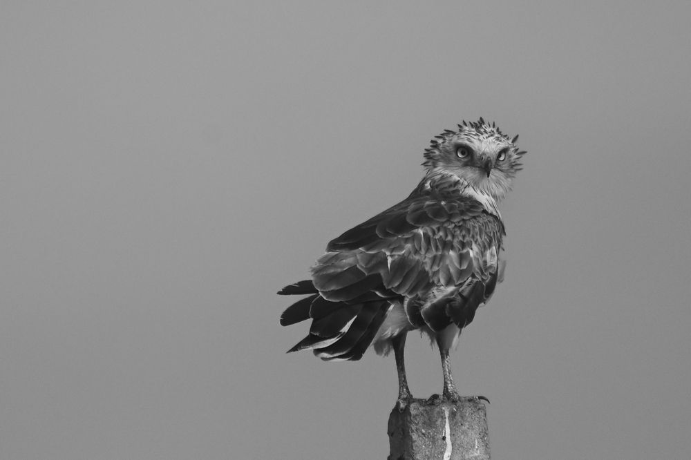 Photograph by Bhavesh Babre