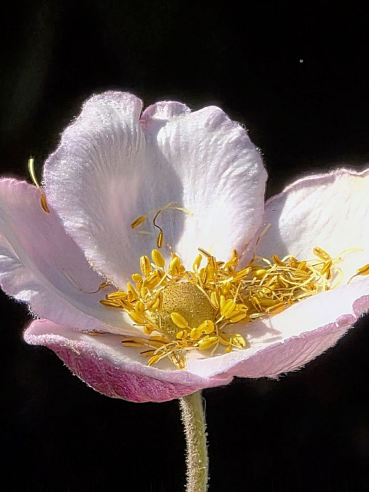 Photograph by Куделенко Оксана