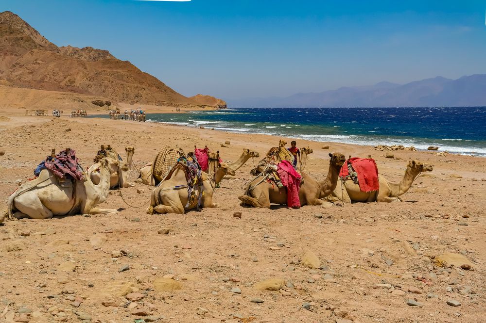 Photograph by Anton Hantov