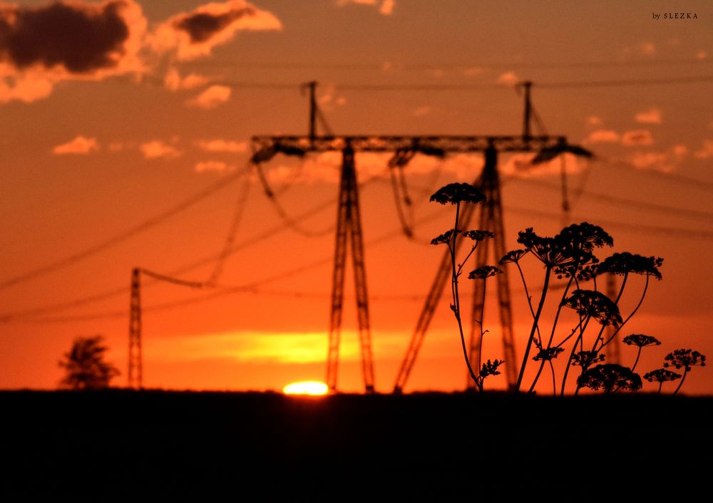 Photograph by Виталий Слёзка