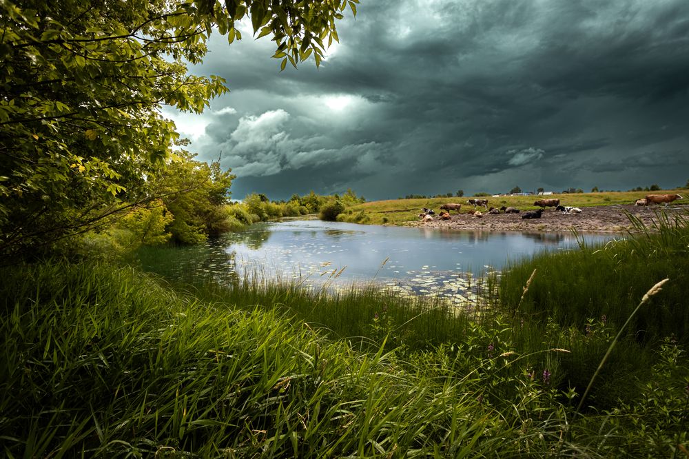 Последний солнца луч
