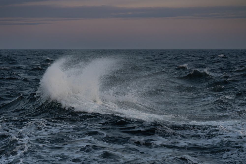 Photograph by Елена Вторушина