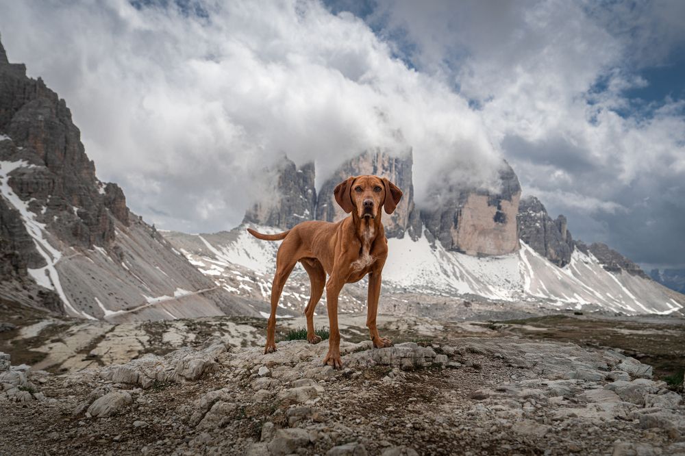 Photograph by Krisztián Csalami