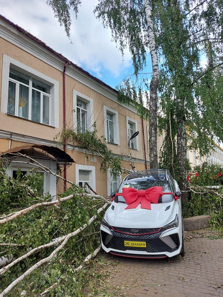 Счастливчик.