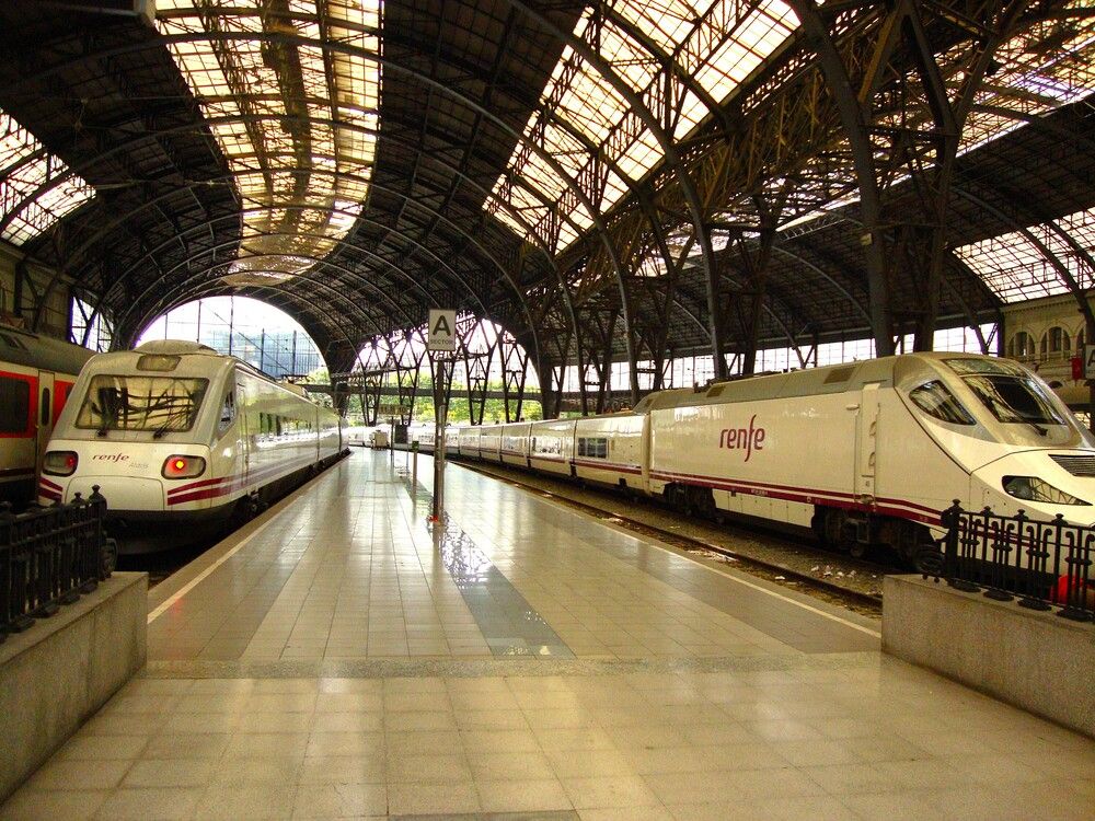 Фотография автора Igor