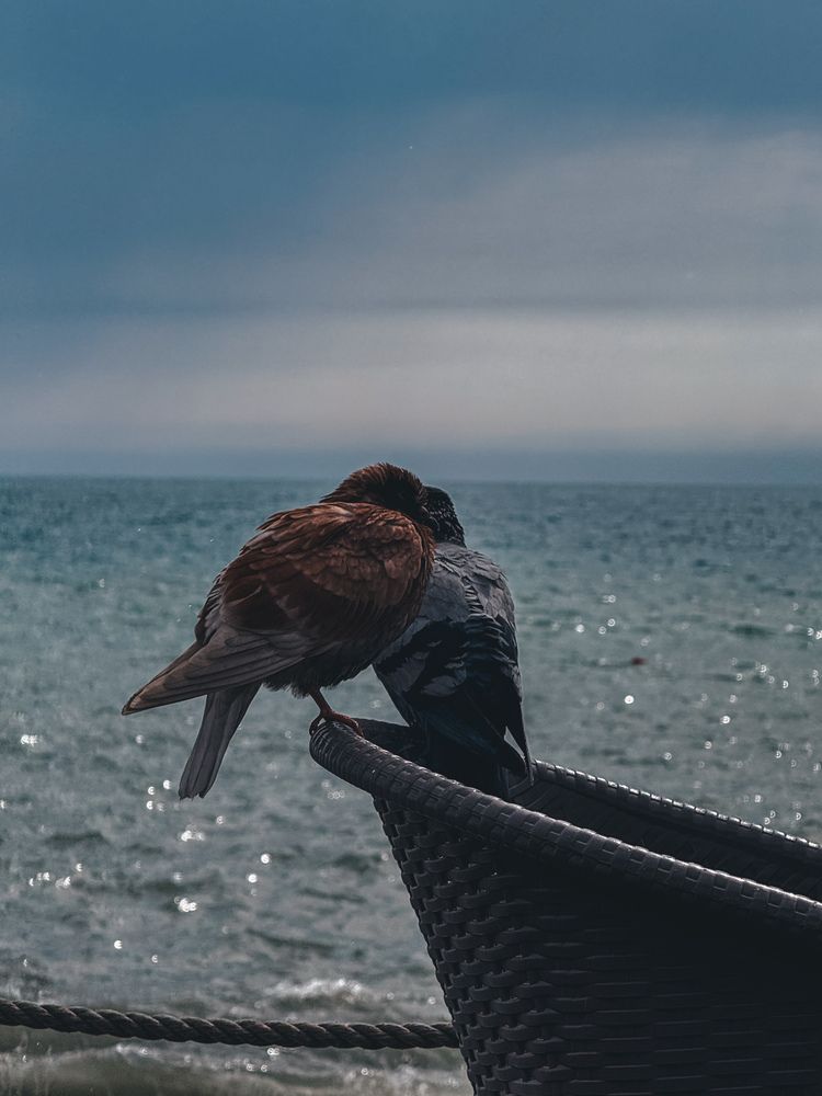 Photograph by Ольга