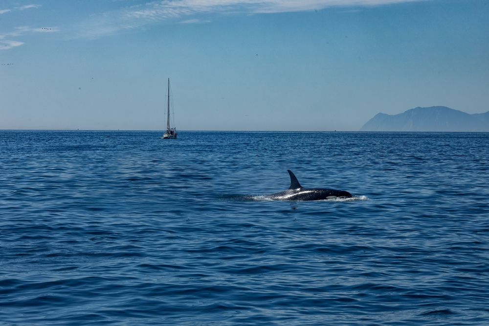 Photograph by Туева Наталья