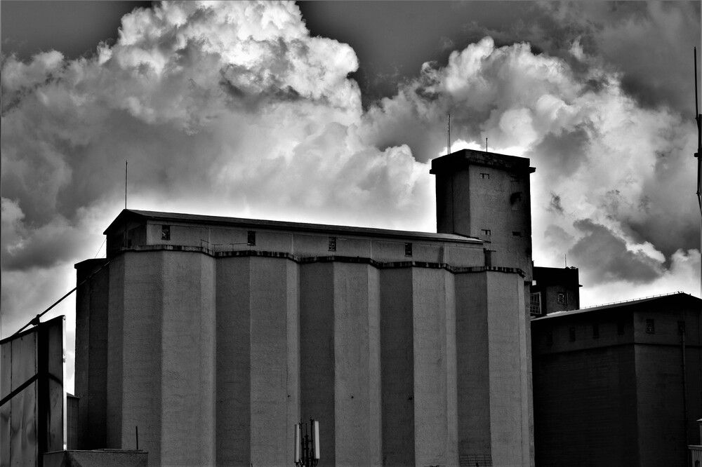 Photograph by Barbara Bonanno BNNRRB