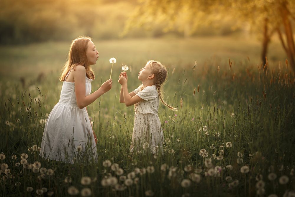 Photograph by Тимофей Шутов