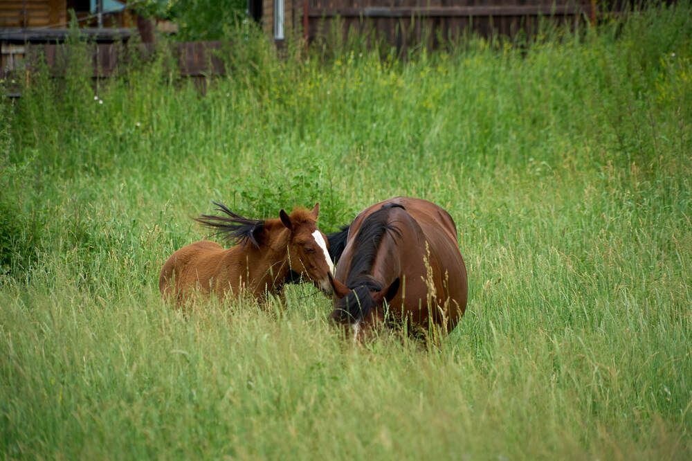 Фотография автора Dana Korolkova