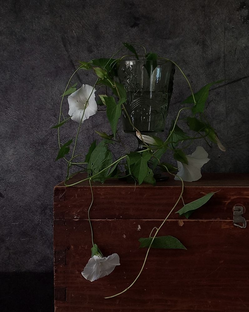 Photograph by Наталья Устюжина