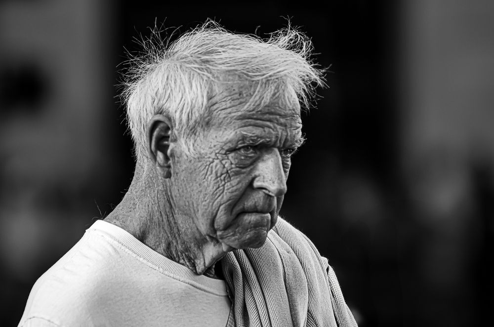 Фотография автора Ramin Barzegar