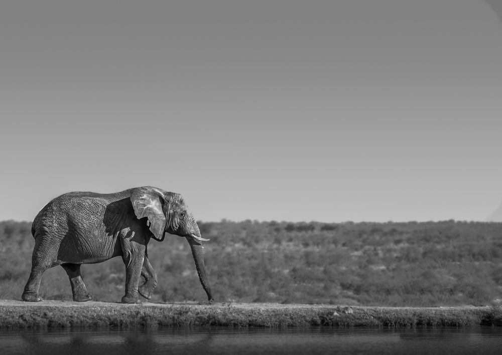 Photograph by Jovanny Bagual
