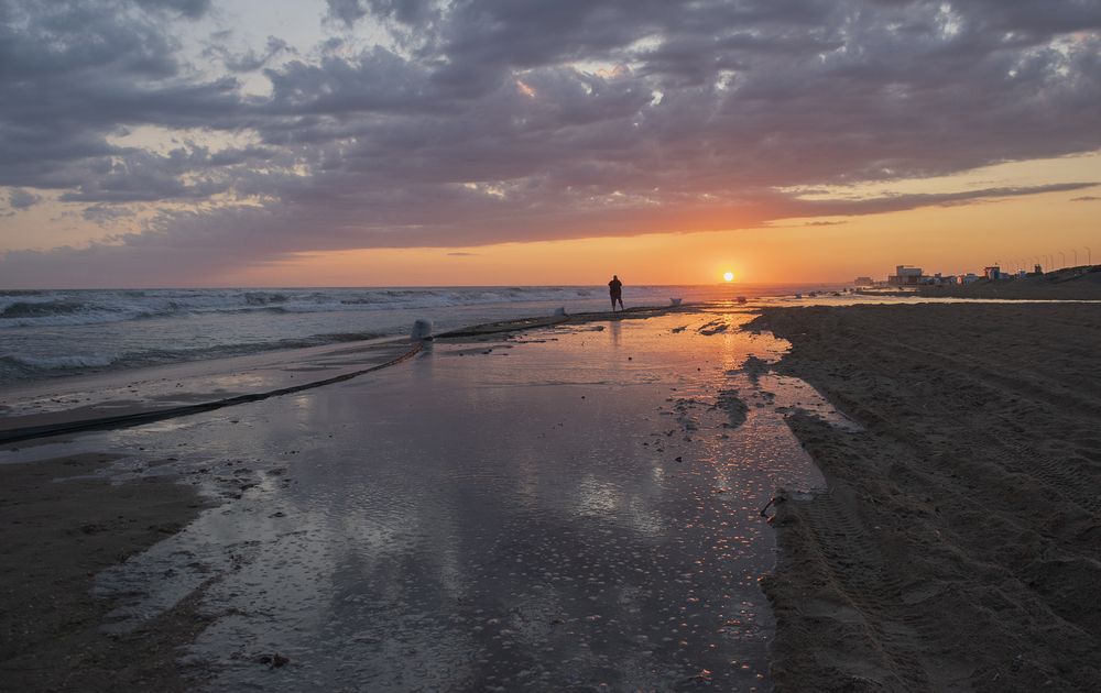 Фотография автора Шипунова Ирина