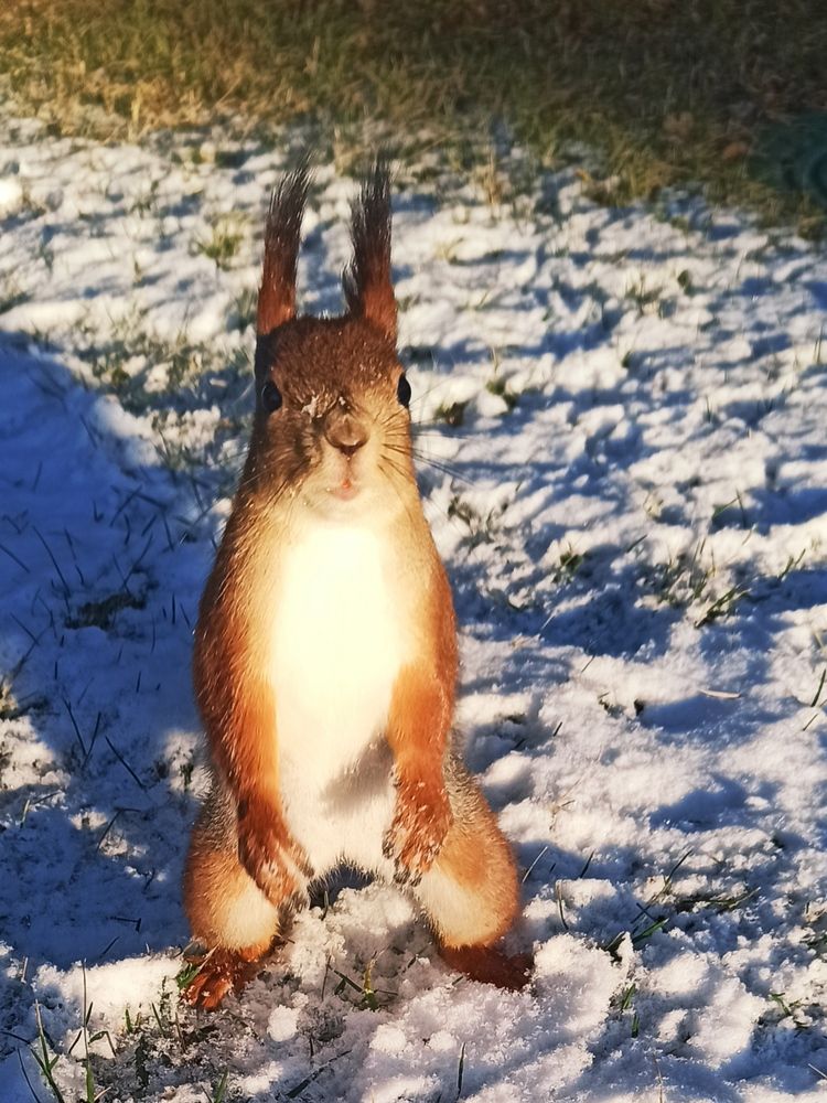 Зимний день